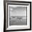 Zebra Herd, Masai Mara Game Reserve, Kenya-Paul Souders-Framed Photographic Print