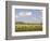 Zebra Herd, Serengeti National Park, Tanzania-Joe & Mary Ann McDonald-Framed Photographic Print