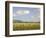 Zebra Herd, Serengeti National Park, Tanzania-Joe & Mary Ann McDonald-Framed Photographic Print