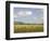 Zebra Herd, Serengeti National Park, Tanzania-Joe & Mary Ann McDonald-Framed Photographic Print