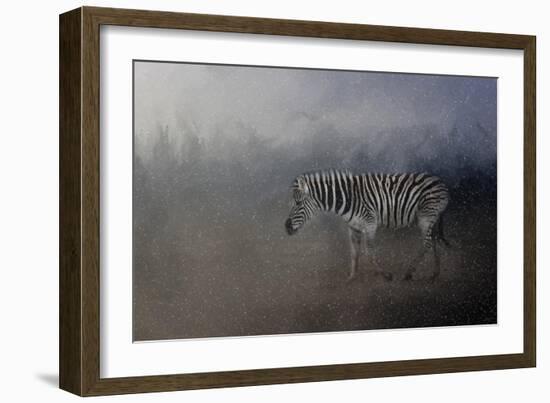 Zebra in a Snow Storm-Jai Johnson-Framed Giclee Print