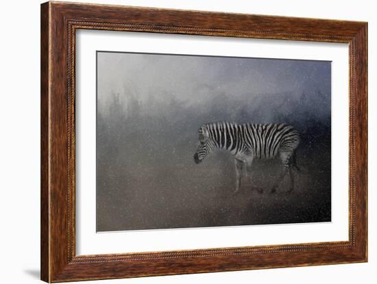 Zebra in a Snow Storm-Jai Johnson-Framed Giclee Print