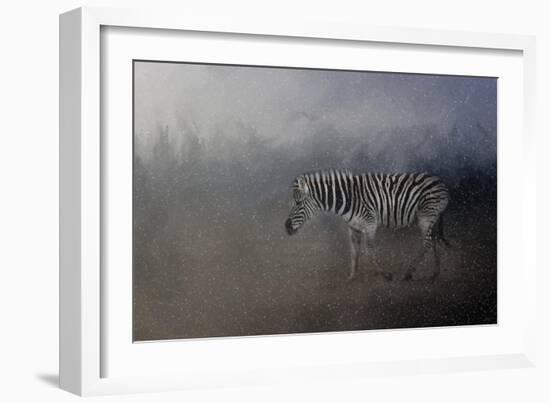 Zebra in a Snow Storm-Jai Johnson-Framed Giclee Print