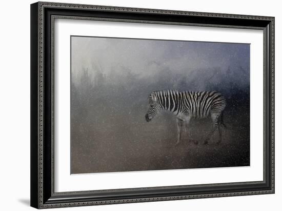 Zebra in a Snow Storm-Jai Johnson-Framed Giclee Print