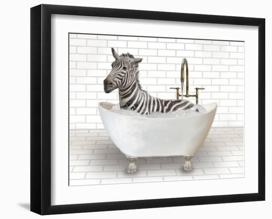 Zebra In Bathtub-Matthew Piotrowicz-Framed Art Print