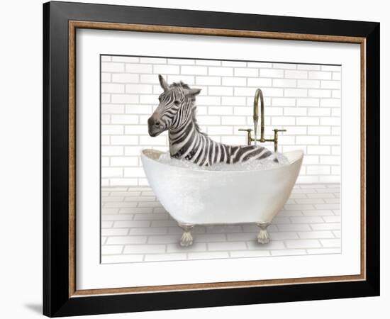 Zebra In Bathtub-Matthew Piotrowicz-Framed Art Print