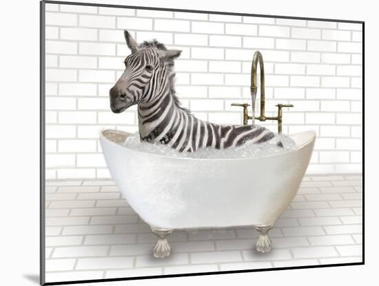 Zebra In Bathtub-Matthew Piotrowicz-Mounted Art Print