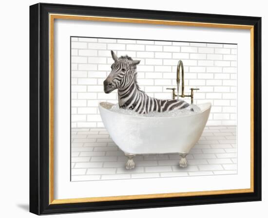 Zebra In Bathtub-Matthew Piotrowicz-Framed Art Print