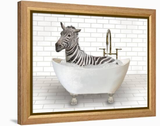 Zebra In Bathtub-Matthew Piotrowicz-Framed Stretched Canvas