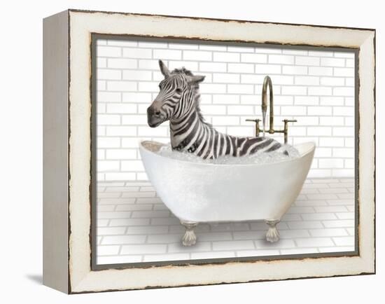 Zebra In Bathtub-Matthew Piotrowicz-Framed Stretched Canvas