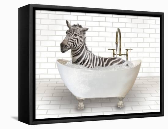 Zebra In Bathtub-Matthew Piotrowicz-Framed Stretched Canvas