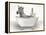 Zebra In Bathtub-Matthew Piotrowicz-Framed Stretched Canvas