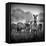 Zebra In Black And White-Donvanstaden-Framed Stretched Canvas