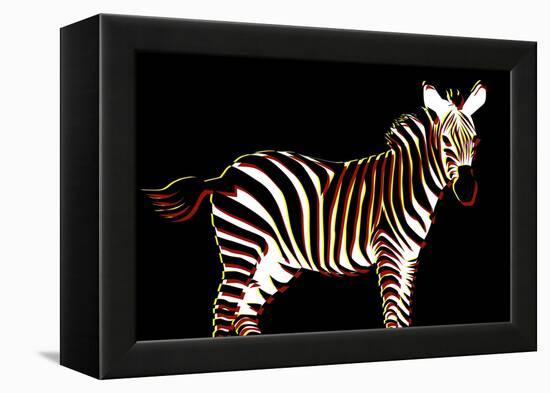 Zebra in Black Horizontal-Ikuko Kowada-Framed Premier Image Canvas