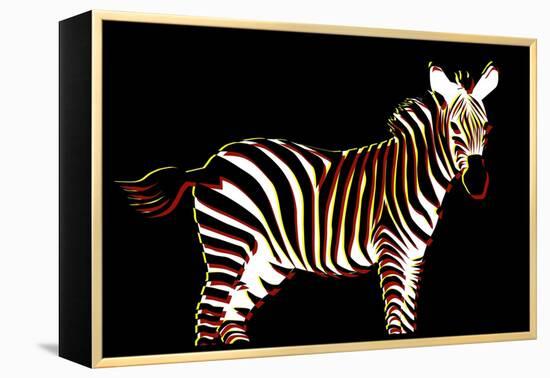 Zebra in Black Horizontal-Ikuko Kowada-Framed Premier Image Canvas