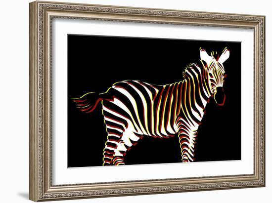 Zebra in Black Horizontal-Ikuko Kowada-Framed Giclee Print