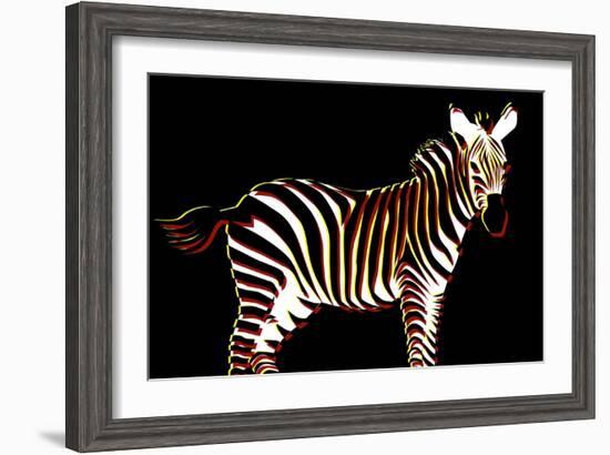 Zebra in Black Horizontal-Ikuko Kowada-Framed Giclee Print