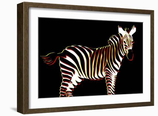 Zebra in Black Horizontal-Ikuko Kowada-Framed Giclee Print