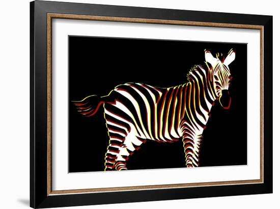 Zebra in Black Horizontal-Ikuko Kowada-Framed Giclee Print