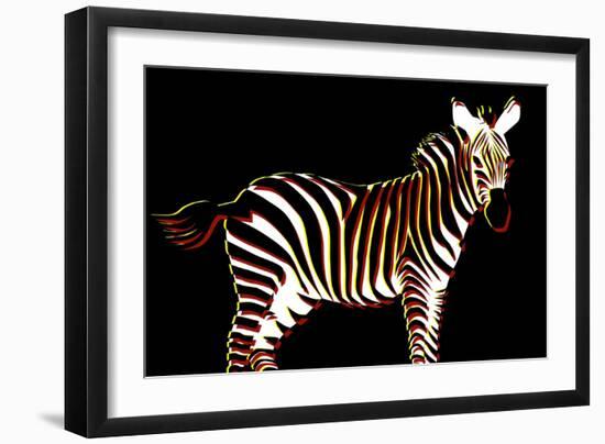 Zebra in Black Horizontal-Ikuko Kowada-Framed Giclee Print