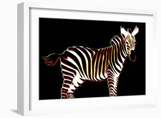 Zebra in Black Horizontal-Ikuko Kowada-Framed Giclee Print