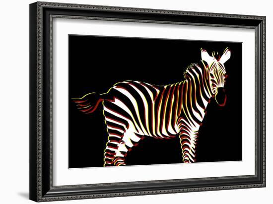 Zebra in Black Horizontal-Ikuko Kowada-Framed Giclee Print