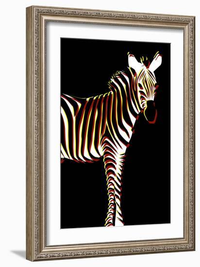 Zebra in Black Vertical-Ikuko Kowada-Framed Giclee Print