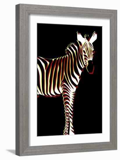 Zebra in Black Vertical-Ikuko Kowada-Framed Giclee Print