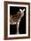 Zebra in Black Vertical-Ikuko Kowada-Framed Giclee Print