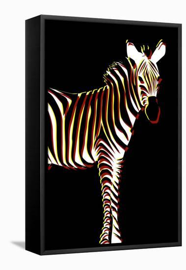 Zebra in Black Vertical-Ikuko Kowada-Framed Premier Image Canvas
