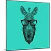 Zebra in Glasses-Lisa Kroll-Mounted Art Print