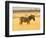 Zebra in Golden Grass at Namutoni Resort, Namibia-Joe Restuccia III-Framed Photographic Print