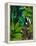 Zebra in Green Leaves-Fab Funky-Framed Stretched Canvas