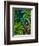 Zebra in Green Leaves-Fab Funky-Framed Art Print