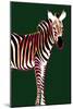 Zebra in Green Vertical-Ikuko Kowada-Mounted Giclee Print