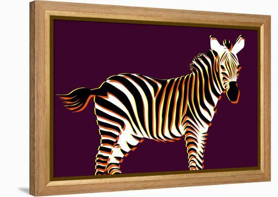 Zebra in Purple Horizontal-Ikuko Kowada-Framed Premier Image Canvas