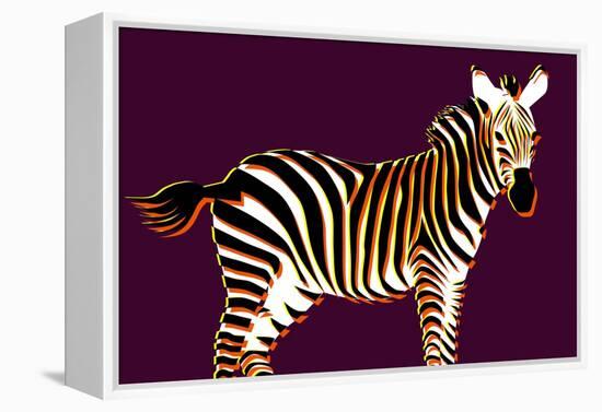 Zebra in Purple Horizontal-Ikuko Kowada-Framed Premier Image Canvas