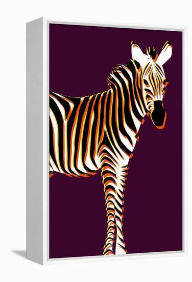Zebra in Purple Vertical-Ikuko Kowada-Framed Premier Image Canvas