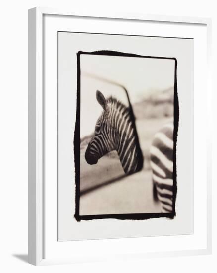Zebra in the Mirror 1-Theo Westenberger-Framed Photographic Print