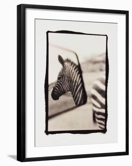 Zebra in the Mirror 1-Theo Westenberger-Framed Photographic Print