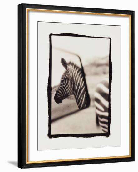 Zebra in the Mirror 1-Theo Westenberger-Framed Photographic Print