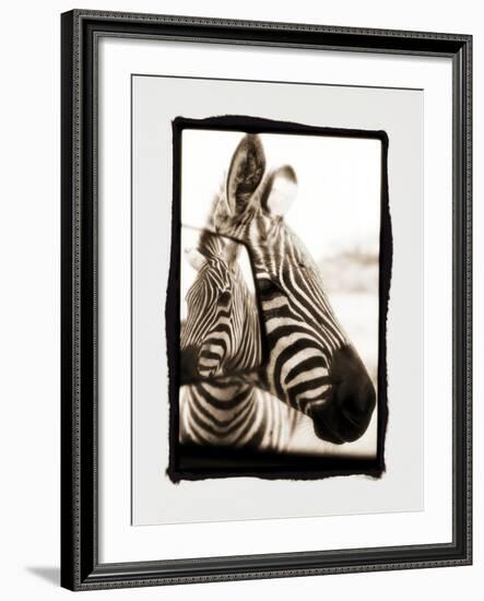 Zebra in the Mirror 2-Theo Westenberger-Framed Photographic Print