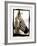 Zebra in the Mirror 2-Theo Westenberger-Framed Photographic Print