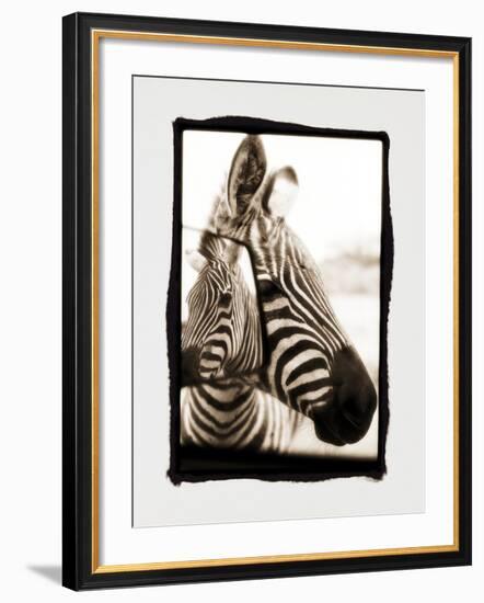 Zebra in the Mirror 2-Theo Westenberger-Framed Photographic Print