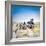 Zebra Mother and Her Foal in Etosha National Park,Namibia-brytta-Framed Photographic Print