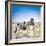 Zebra Mother and Her Foal in Etosha National Park,Namibia-brytta-Framed Photographic Print