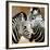 Zebra Pair-Arcobaleno-Framed Art Print