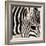 Zebra Pattern-Frank & Susann Parker-Framed Art Print