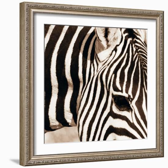 Zebra Pattern-Frank & Susann Parker-Framed Art Print