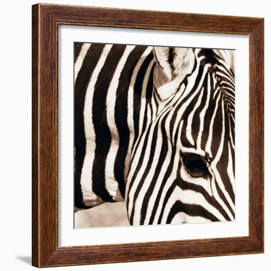 Zebra Pattern-Frank & Susann Parker-Framed Art Print
